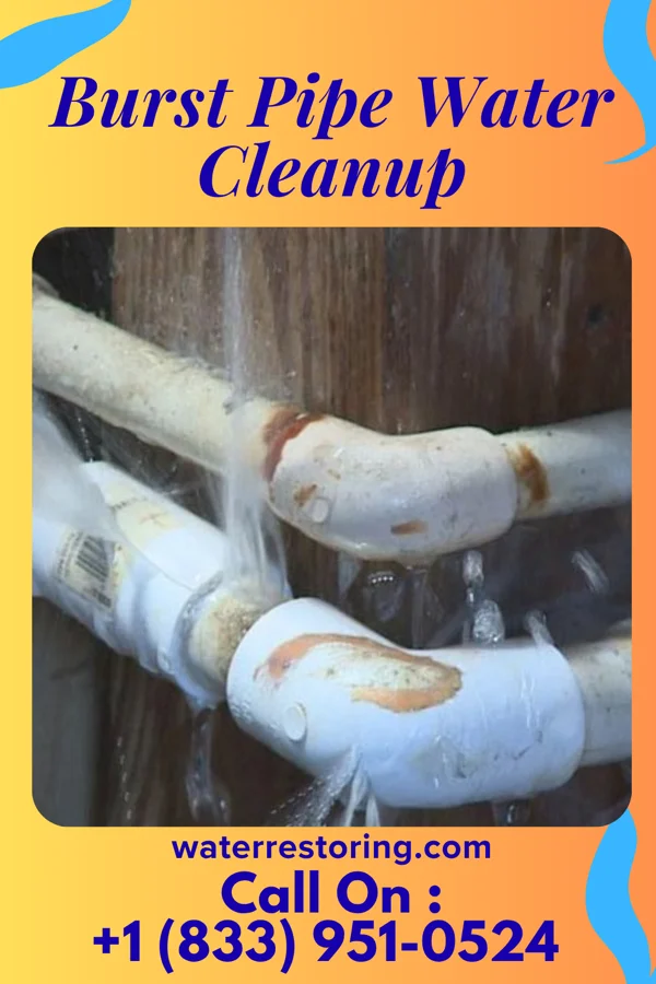 Burst Pipe Water Cleanup in Whittemore, IA